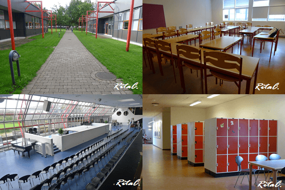 My School :Kolding Gymnasium